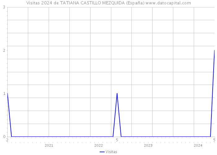 Visitas 2024 de TATIANA CASTILLO MEZQUIDA (España) 