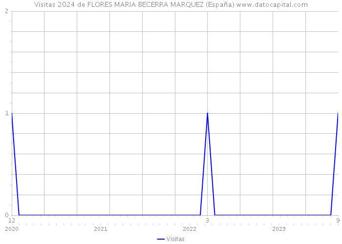 Visitas 2024 de FLORES MARIA BECERRA MARQUEZ (España) 