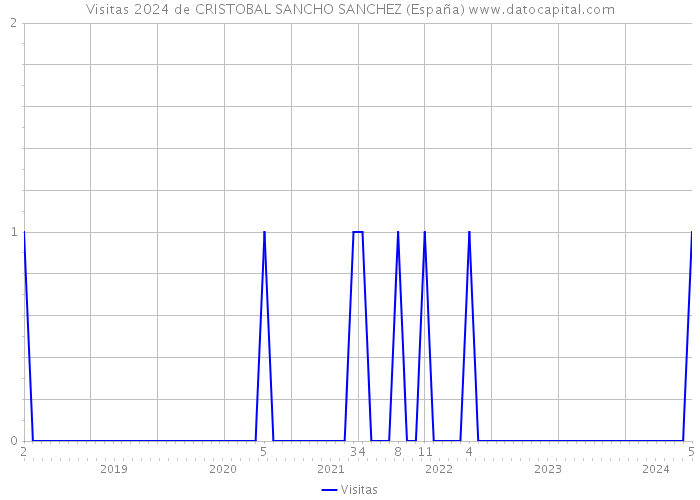 Visitas 2024 de CRISTOBAL SANCHO SANCHEZ (España) 