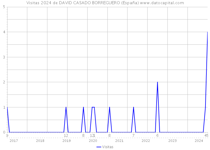 Visitas 2024 de DAVID CASADO BORREGUERO (España) 