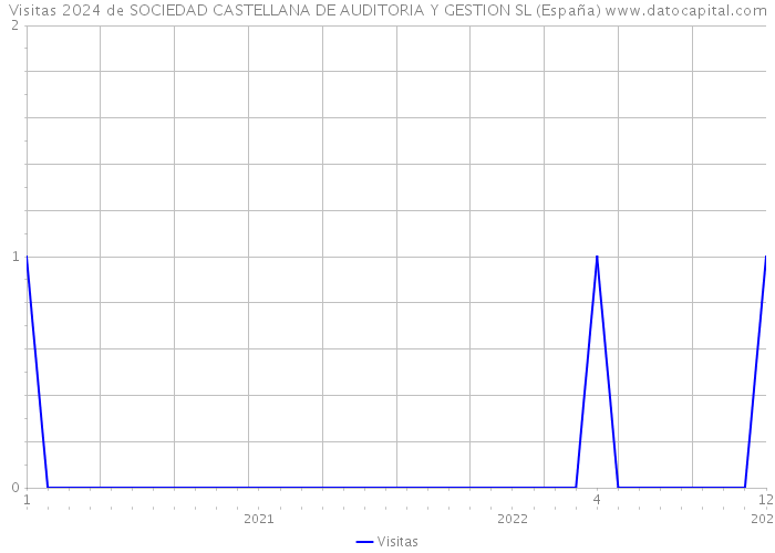 Visitas 2024 de SOCIEDAD CASTELLANA DE AUDITORIA Y GESTION SL (España) 