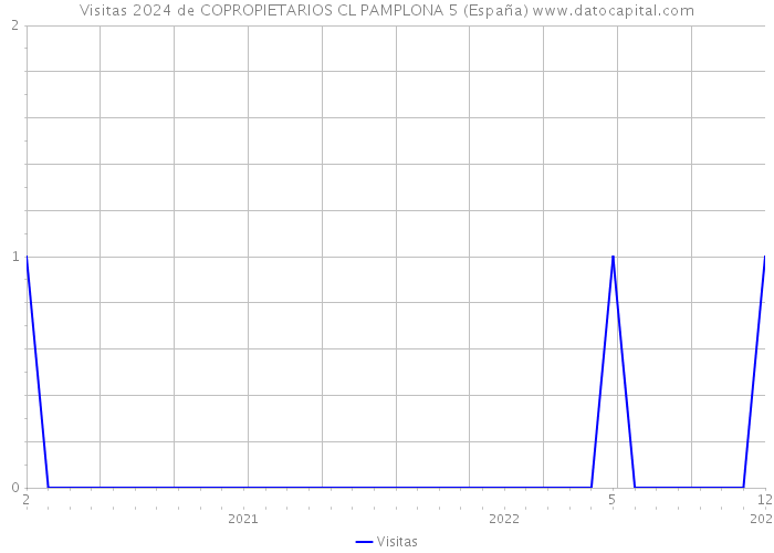 Visitas 2024 de COPROPIETARIOS CL PAMPLONA 5 (España) 
