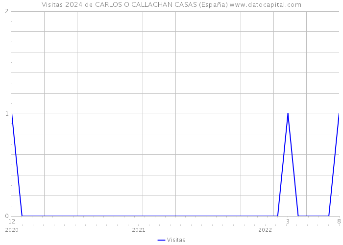 Visitas 2024 de CARLOS O CALLAGHAN CASAS (España) 