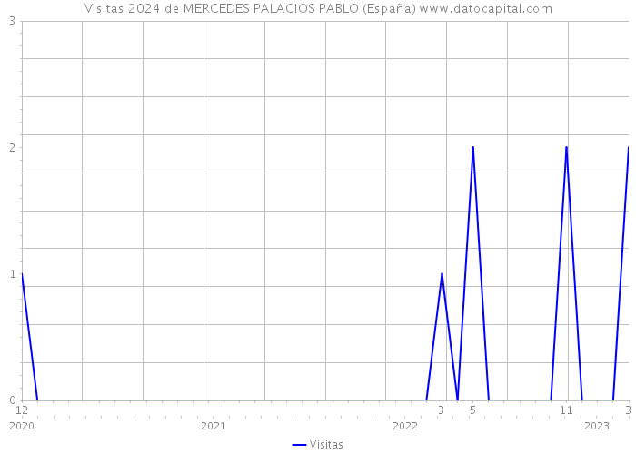 Visitas 2024 de MERCEDES PALACIOS PABLO (España) 