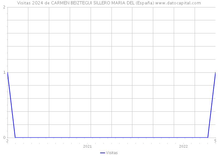Visitas 2024 de CARMEN BEIZTEGUI SILLERO MARIA DEL (España) 