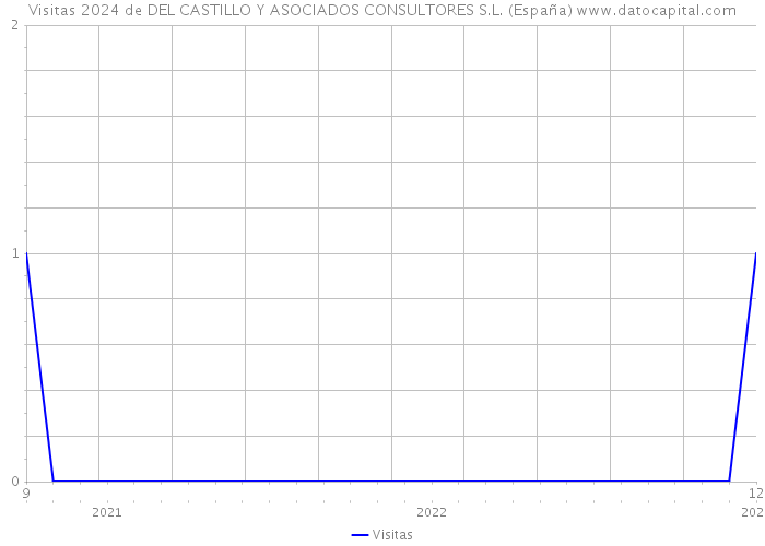 Visitas 2024 de DEL CASTILLO Y ASOCIADOS CONSULTORES S.L. (España) 