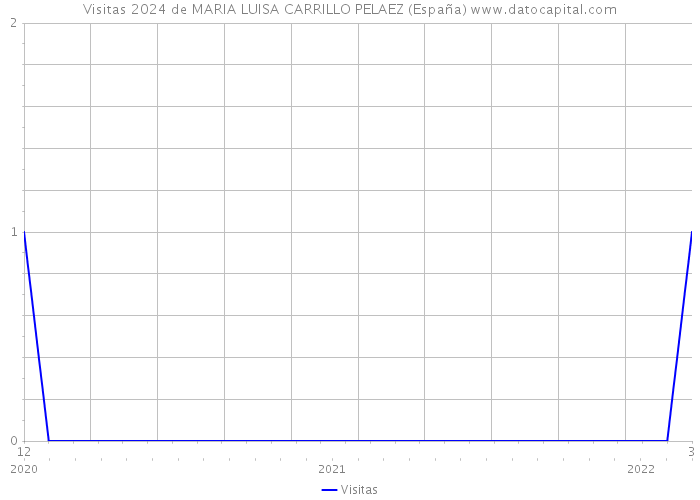 Visitas 2024 de MARIA LUISA CARRILLO PELAEZ (España) 