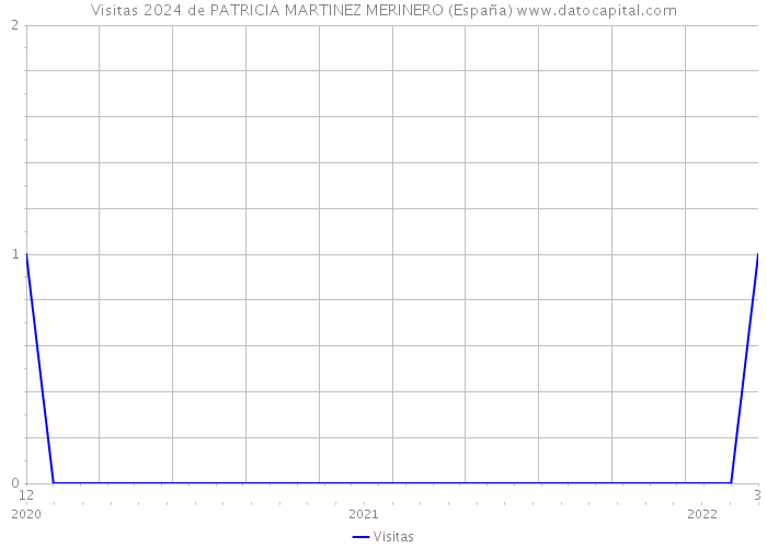 Visitas 2024 de PATRICIA MARTINEZ MERINERO (España) 
