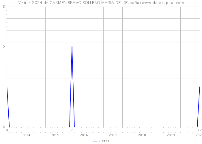 Visitas 2024 de CARMEN BRAVO SOLLERO MARIA DEL (España) 
