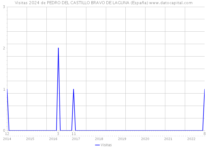 Visitas 2024 de PEDRO DEL CASTILLO BRAVO DE LAGUNA (España) 