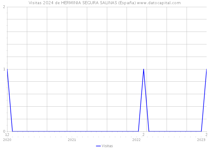 Visitas 2024 de HERMINIA SEGURA SALINAS (España) 