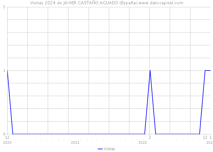 Visitas 2024 de JAVIER CASTAÑO AGUADO (España) 