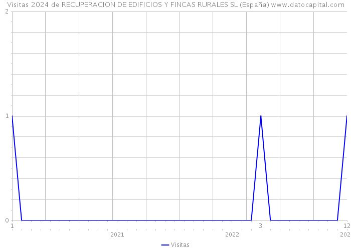 Visitas 2024 de RECUPERACION DE EDIFICIOS Y FINCAS RURALES SL (España) 