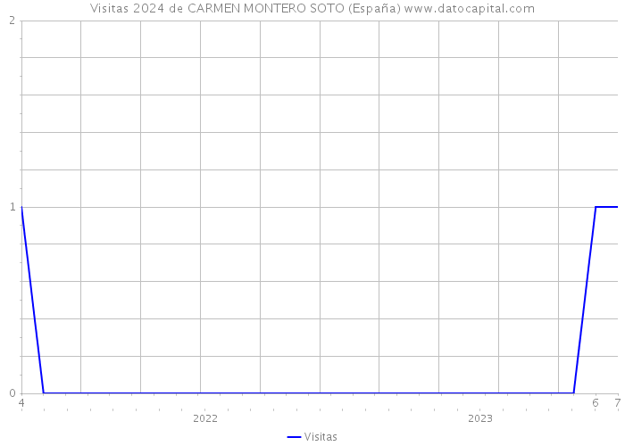 Visitas 2024 de CARMEN MONTERO SOTO (España) 