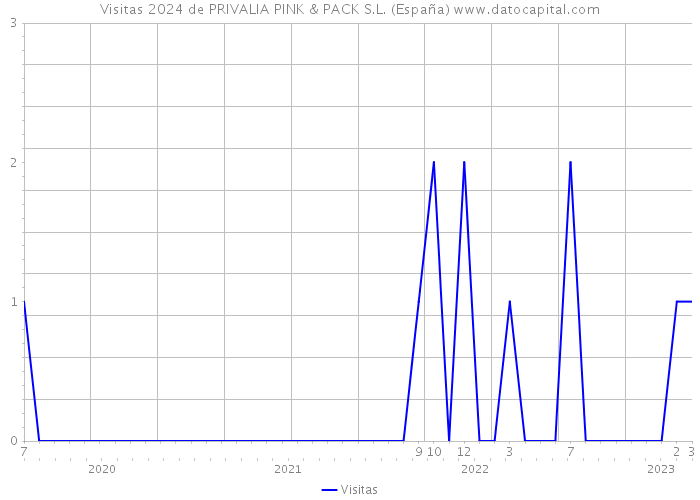 Visitas 2024 de PRIVALIA PINK & PACK S.L. (España) 