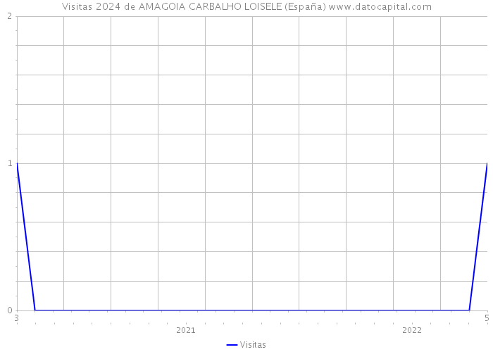 Visitas 2024 de AMAGOIA CARBALHO LOISELE (España) 