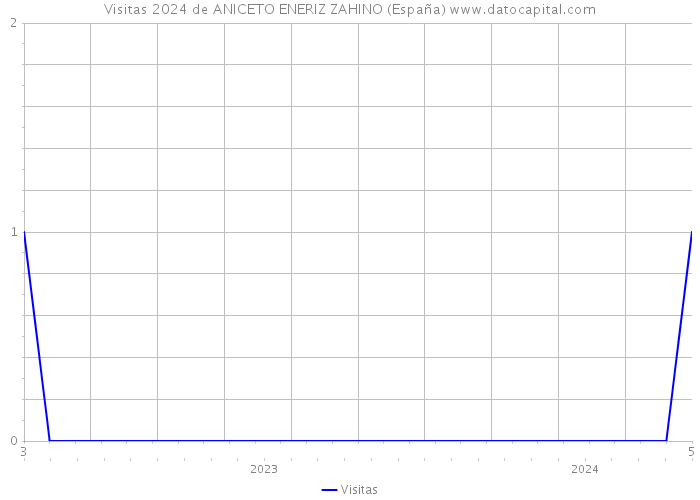 Visitas 2024 de ANICETO ENERIZ ZAHINO (España) 