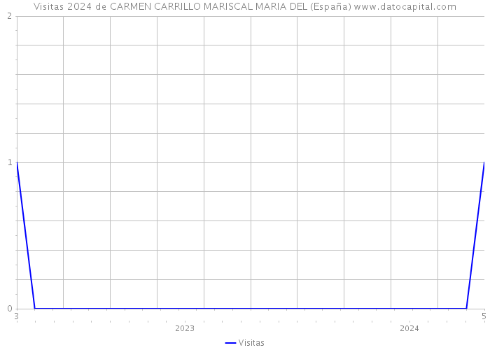Visitas 2024 de CARMEN CARRILLO MARISCAL MARIA DEL (España) 