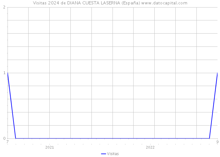 Visitas 2024 de DIANA CUESTA LASERNA (España) 