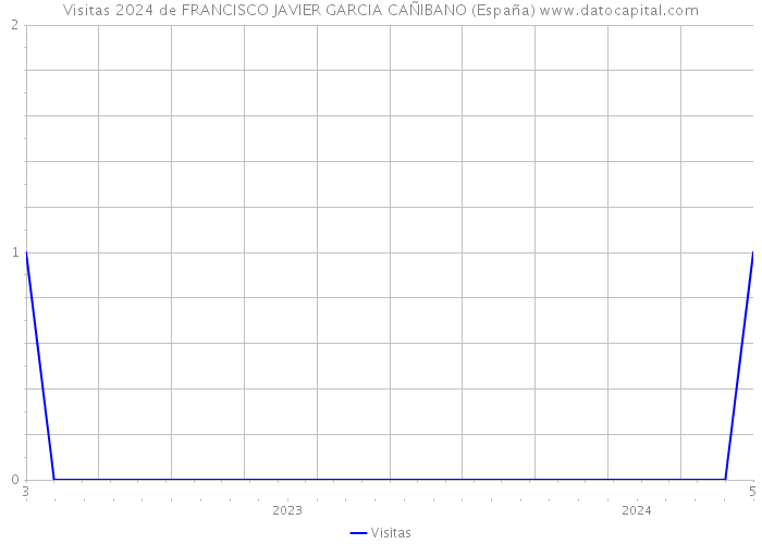 Visitas 2024 de FRANCISCO JAVIER GARCIA CAÑIBANO (España) 