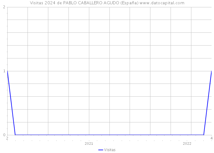 Visitas 2024 de PABLO CABALLERO AGUDO (España) 