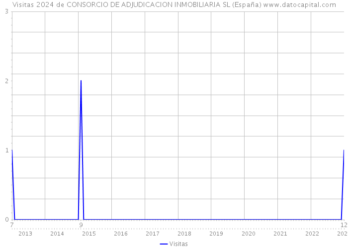 Visitas 2024 de CONSORCIO DE ADJUDICACION INMOBILIARIA SL (España) 