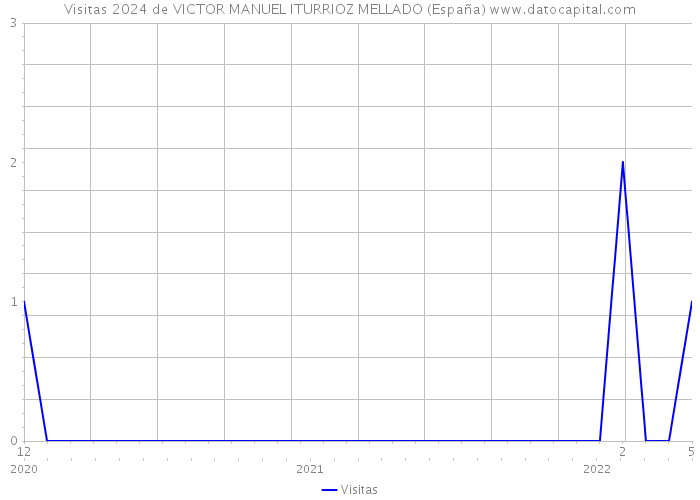 Visitas 2024 de VICTOR MANUEL ITURRIOZ MELLADO (España) 