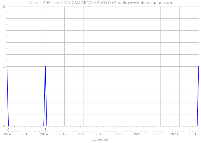 Visitas 2024 de LIDIA GALLARDO ARROYO (España) 