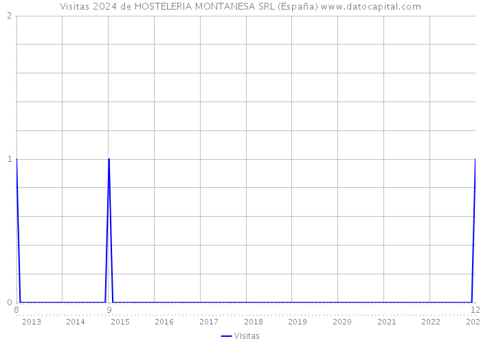 Visitas 2024 de HOSTELERIA MONTANESA SRL (España) 
