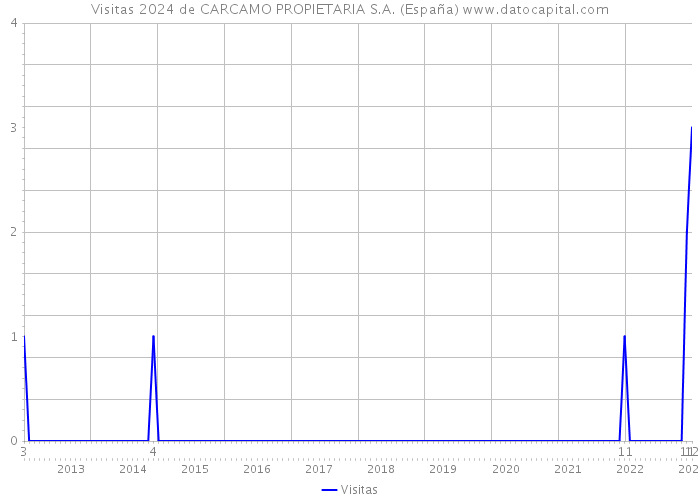 Visitas 2024 de CARCAMO PROPIETARIA S.A. (España) 