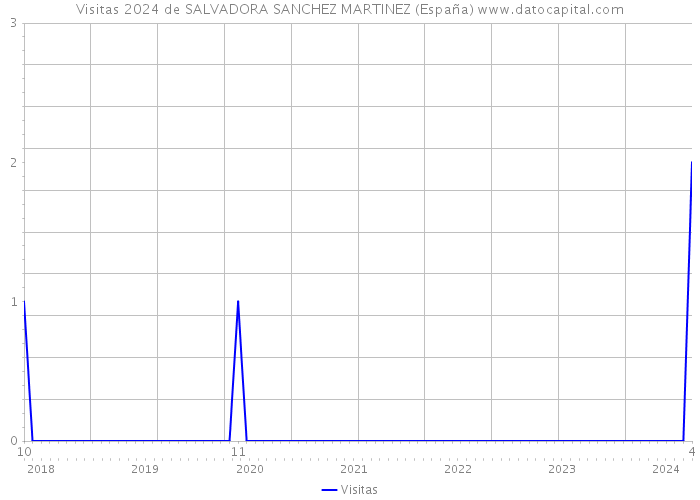 Visitas 2024 de SALVADORA SANCHEZ MARTINEZ (España) 