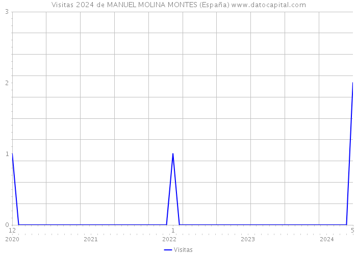 Visitas 2024 de MANUEL MOLINA MONTES (España) 
