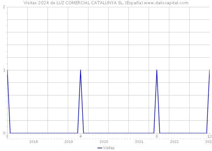 Visitas 2024 de LUZ COMERCIAL CATALUNYA SL. (España) 