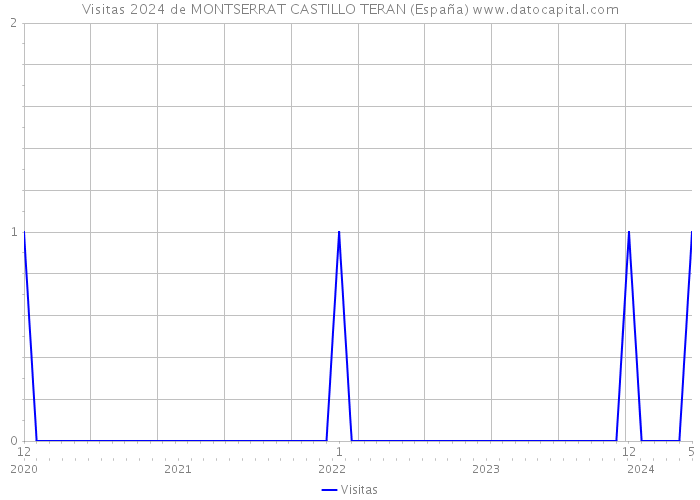 Visitas 2024 de MONTSERRAT CASTILLO TERAN (España) 