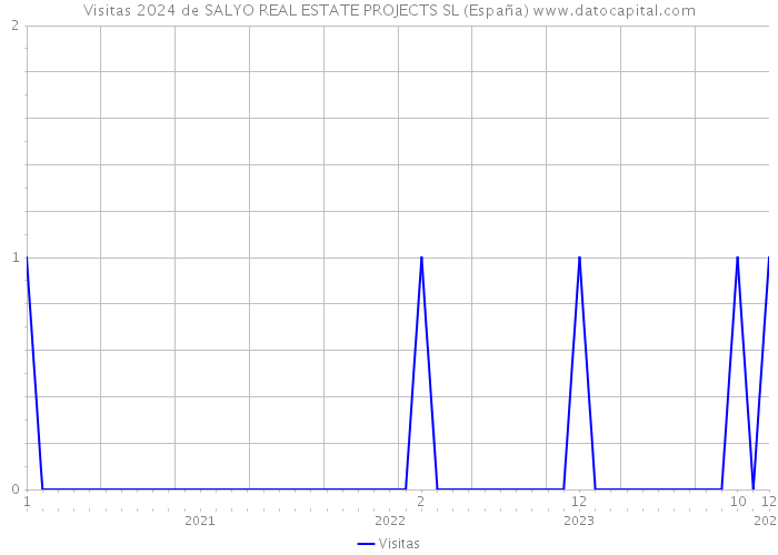 Visitas 2024 de SALYO REAL ESTATE PROJECTS SL (España) 
