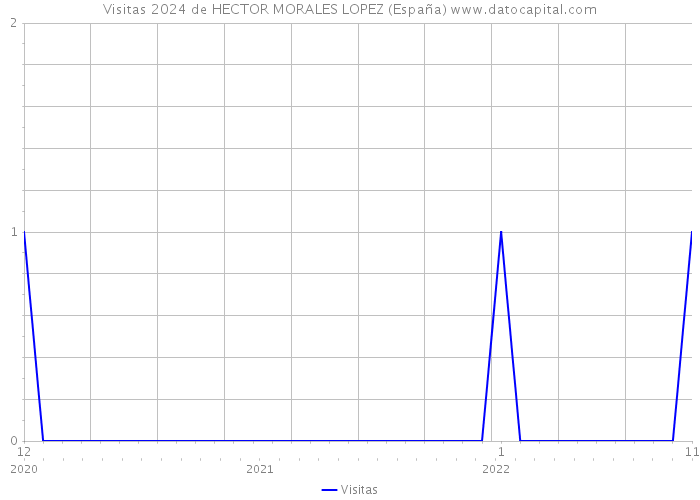 Visitas 2024 de HECTOR MORALES LOPEZ (España) 