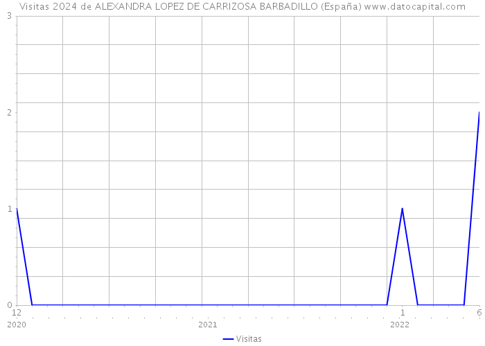 Visitas 2024 de ALEXANDRA LOPEZ DE CARRIZOSA BARBADILLO (España) 