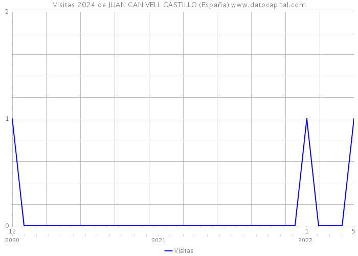 Visitas 2024 de JUAN CANIVELL CASTILLO (España) 