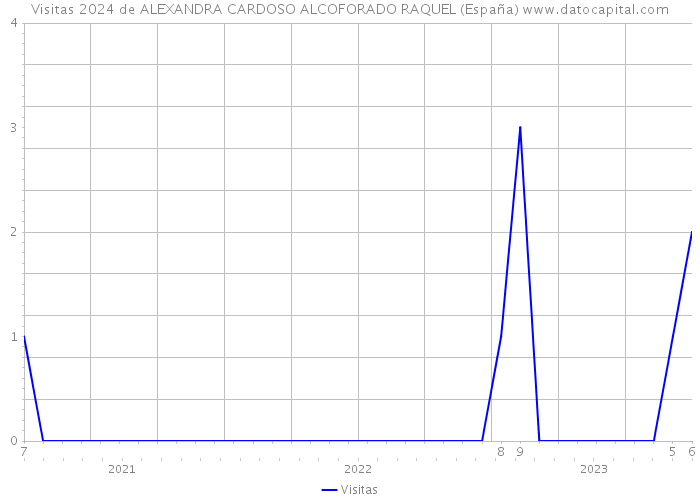 Visitas 2024 de ALEXANDRA CARDOSO ALCOFORADO RAQUEL (España) 