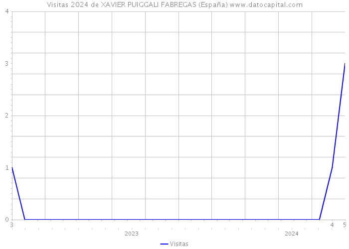 Visitas 2024 de XAVIER PUIGGALI FABREGAS (España) 
