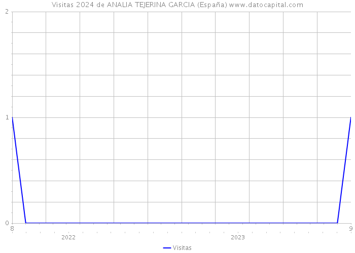 Visitas 2024 de ANALIA TEJERINA GARCIA (España) 