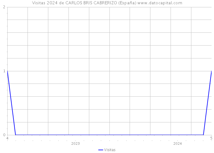 Visitas 2024 de CARLOS BRIS CABRERIZO (España) 
