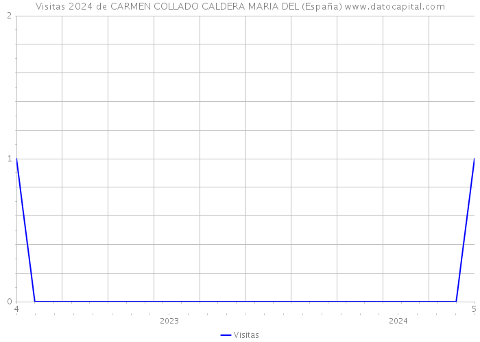 Visitas 2024 de CARMEN COLLADO CALDERA MARIA DEL (España) 