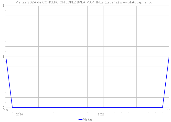 Visitas 2024 de CONCEPCION LOPEZ BREA MARTINEZ (España) 