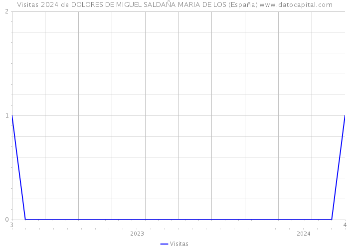 Visitas 2024 de DOLORES DE MIGUEL SALDAÑA MARIA DE LOS (España) 