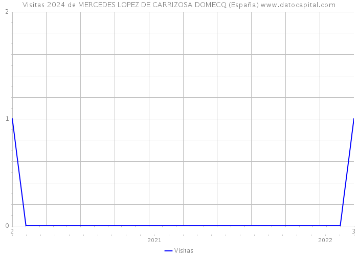 Visitas 2024 de MERCEDES LOPEZ DE CARRIZOSA DOMECQ (España) 