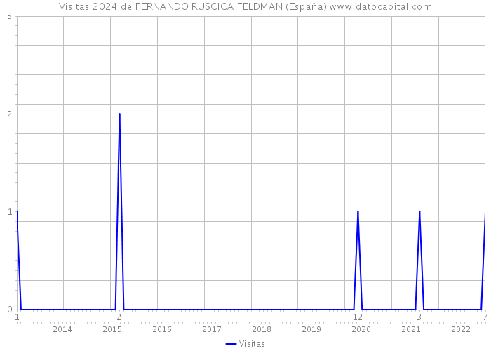 Visitas 2024 de FERNANDO RUSCICA FELDMAN (España) 