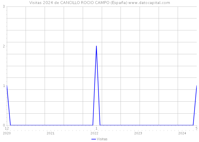 Visitas 2024 de CANCILLO ROCIO CAMPO (España) 