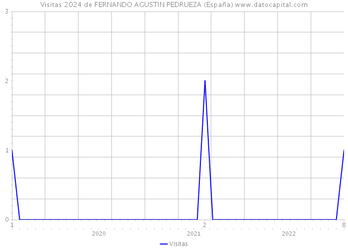 Visitas 2024 de FERNANDO AGUSTIN PEDRUEZA (España) 