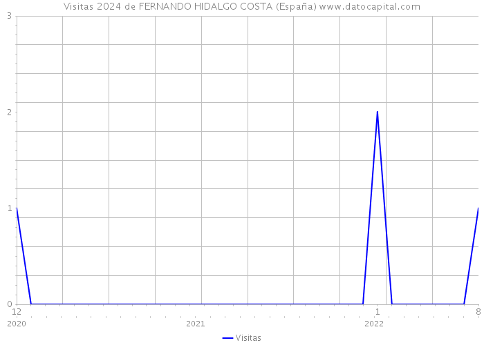 Visitas 2024 de FERNANDO HIDALGO COSTA (España) 